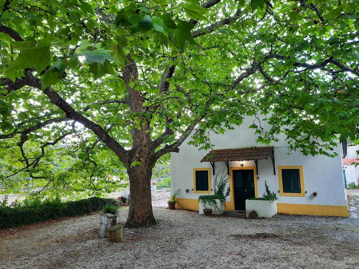 Montejunto Villas - Casa Do Platano Cadaval Luaran gambar