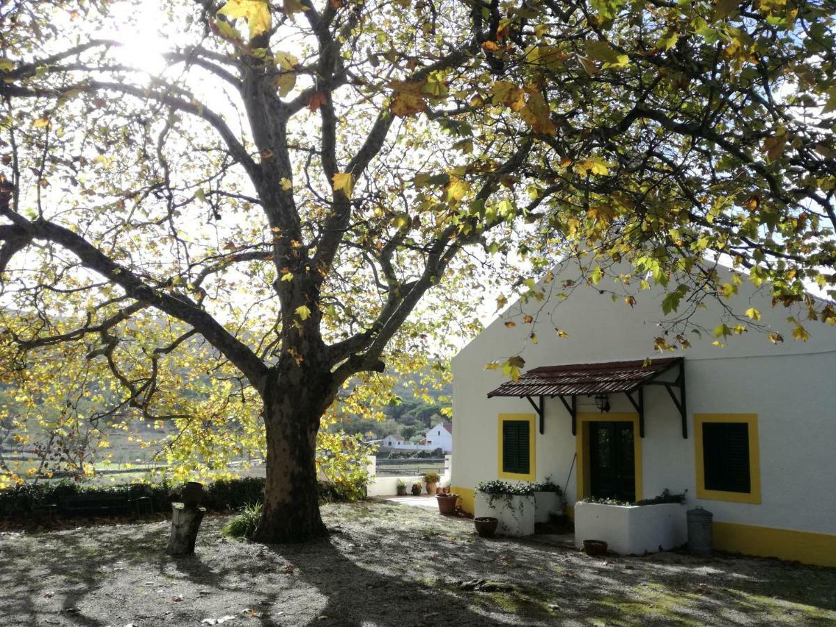 Montejunto Villas - Casa Do Platano Cadaval Luaran gambar