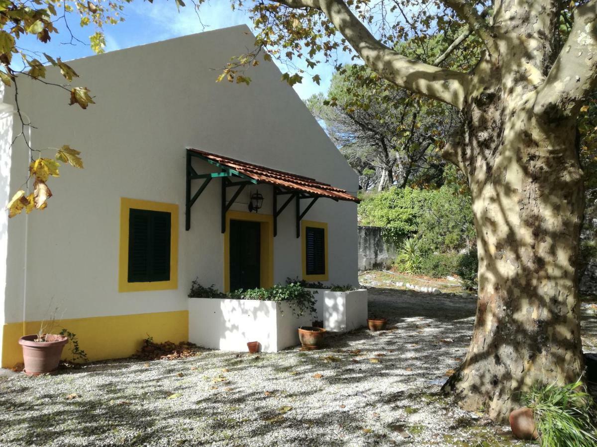 Montejunto Villas - Casa Do Platano Cadaval Luaran gambar