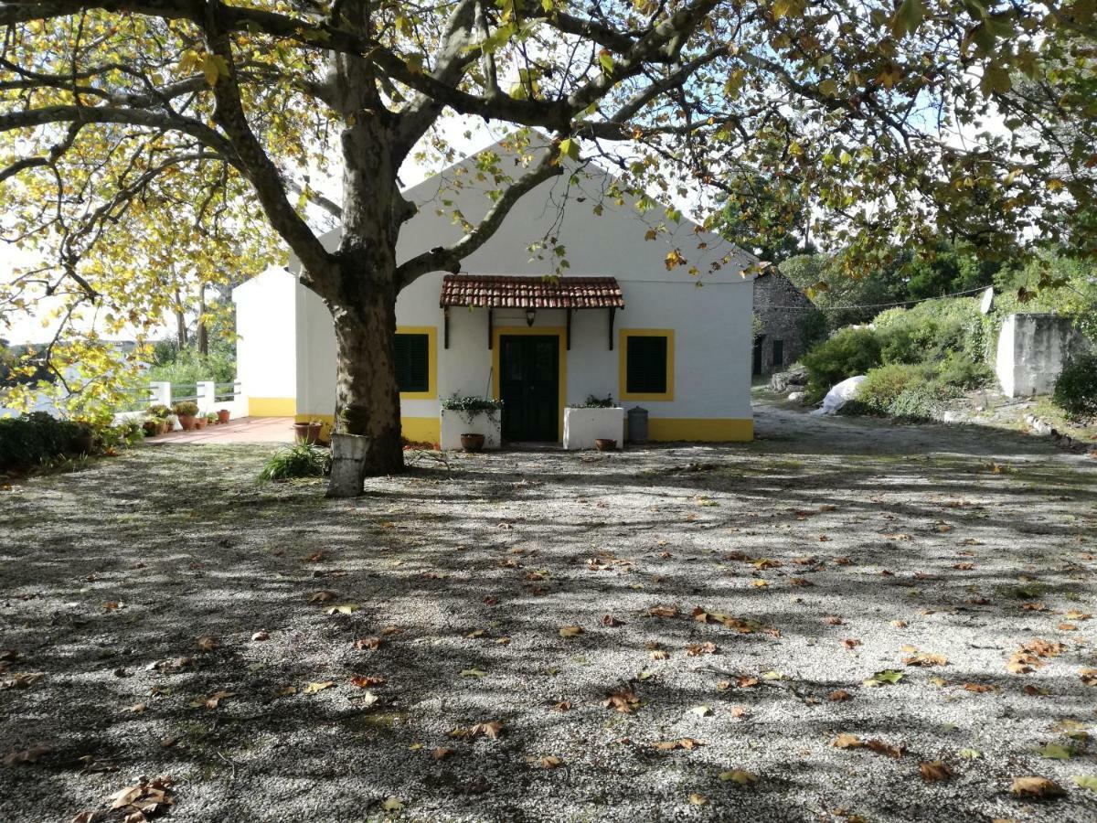 Montejunto Villas - Casa Do Platano Cadaval Luaran gambar