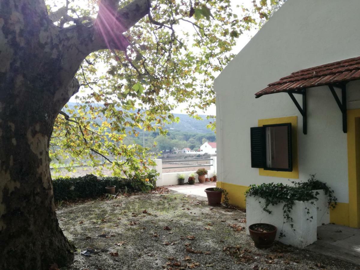 Montejunto Villas - Casa Do Platano Cadaval Luaran gambar